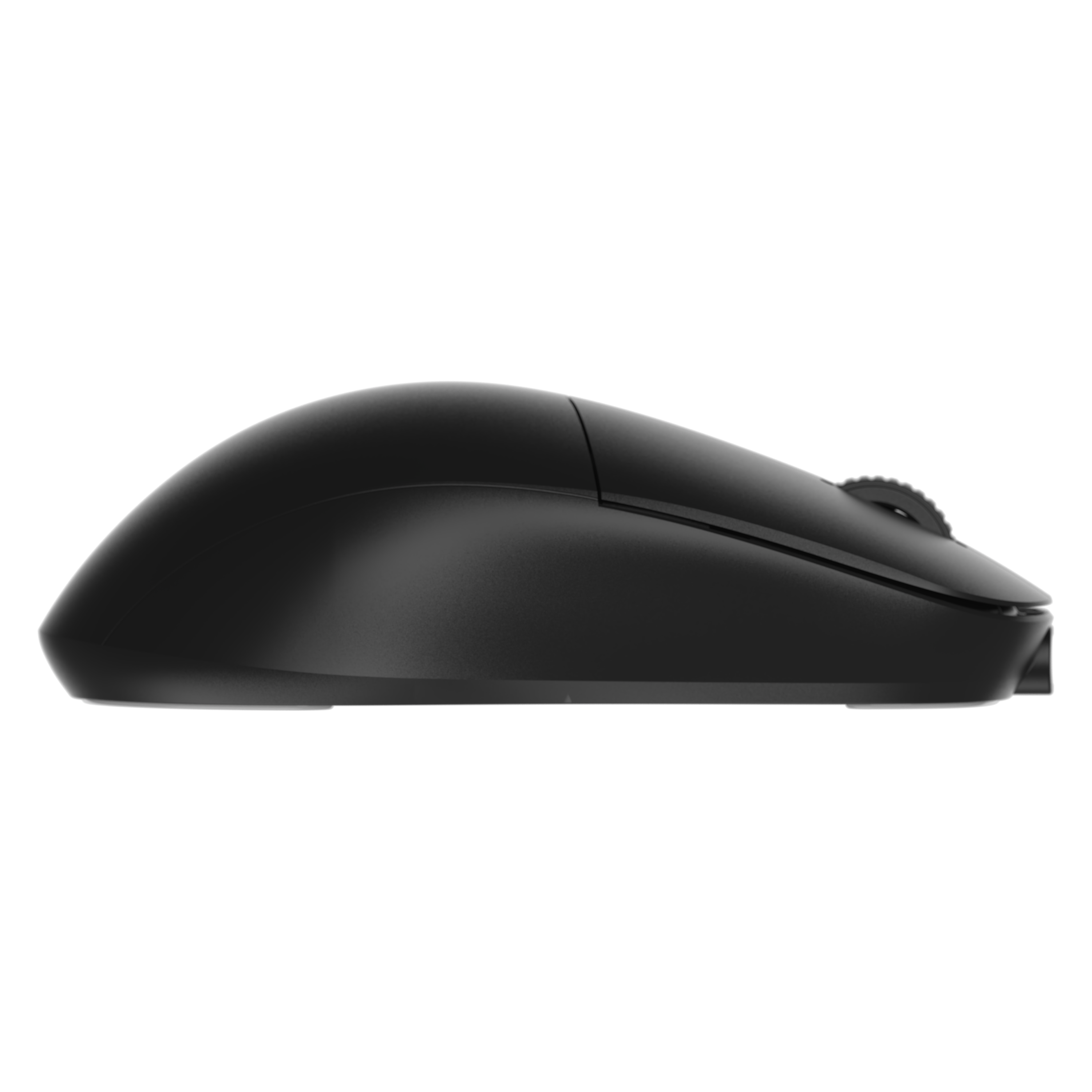 endgame-gear - XM2w Wireless Gaming Mouse - Black