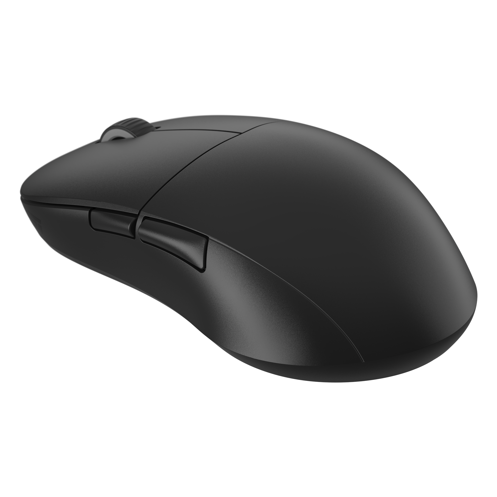 Endgame Gear XM2we mouse