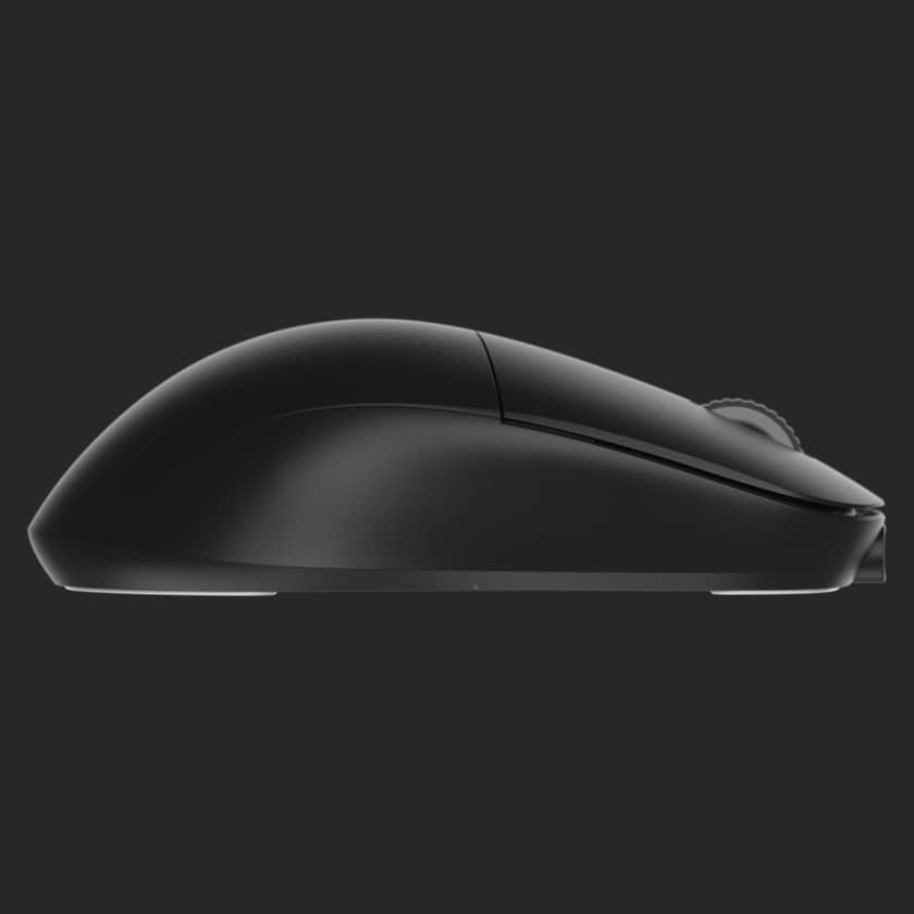 Endgame Gear XM2we mouse | Endgame Gear