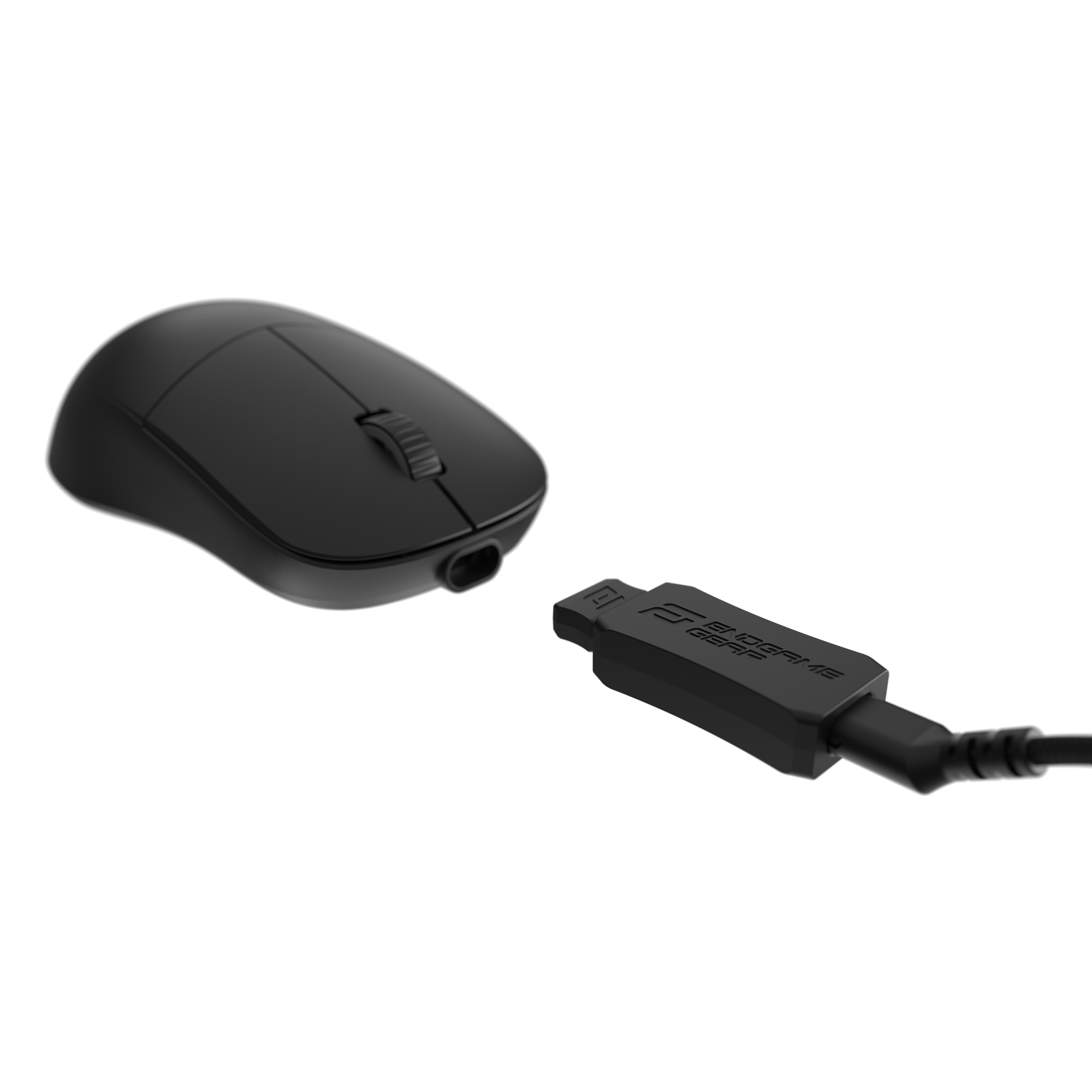 Endgame Gear XM2we mouse