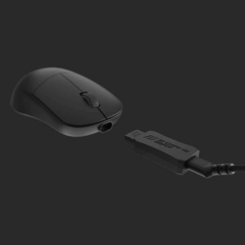 Endgame Gear XM2we mouse | Endgame Gear