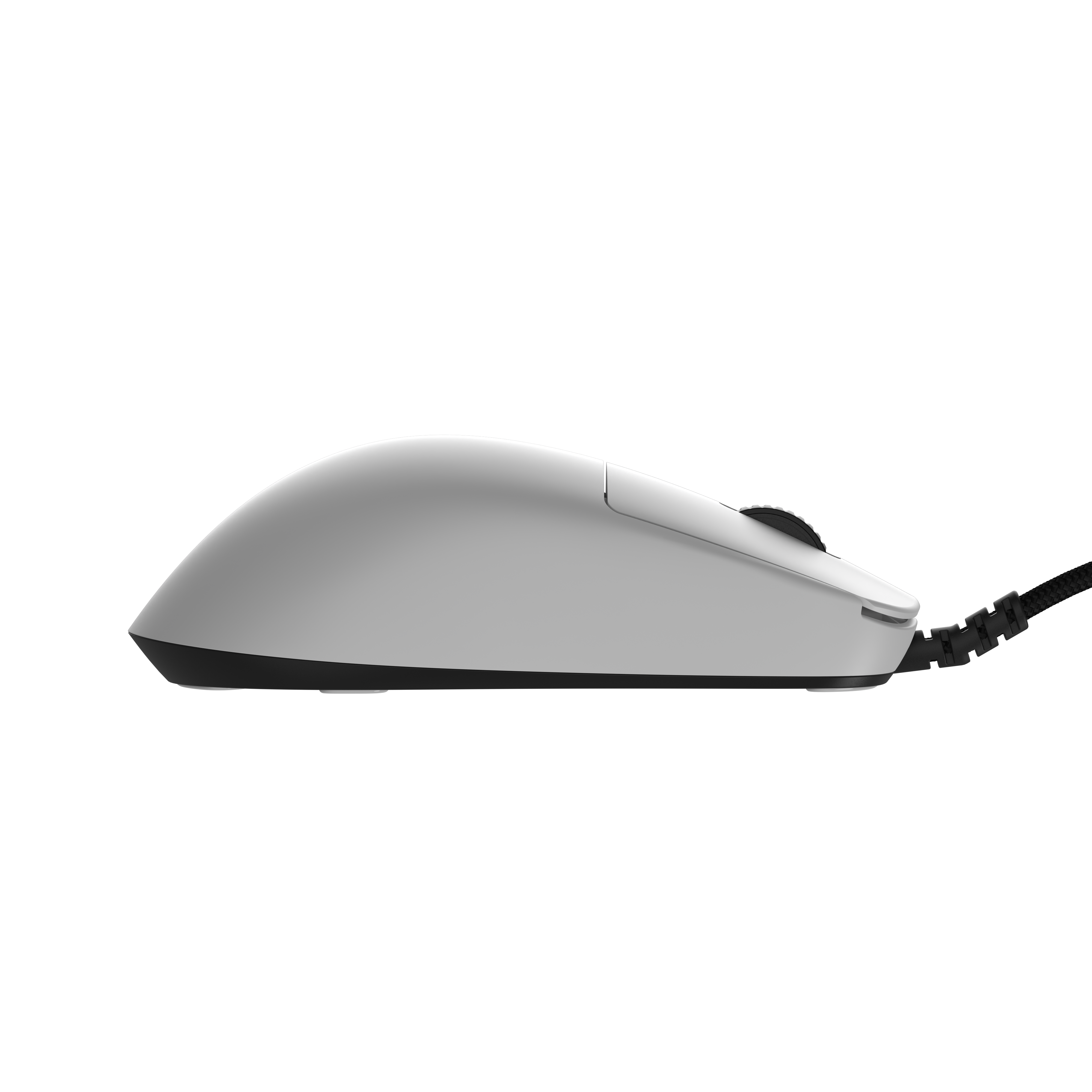 endgame-gear - OP1 Gaming Mouse - White