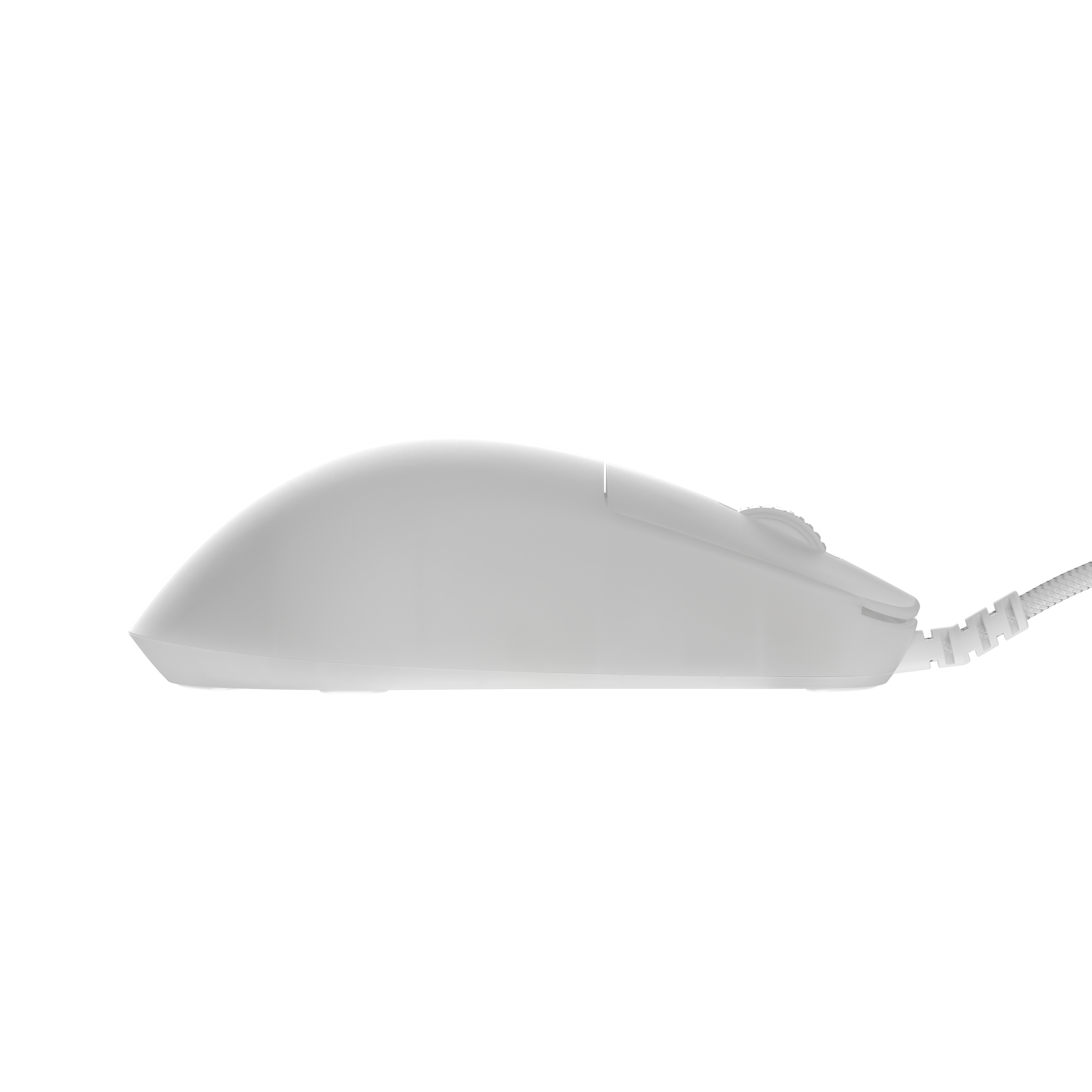 endgame-gear - OP1 RGB Gaming Mouse - White Frost