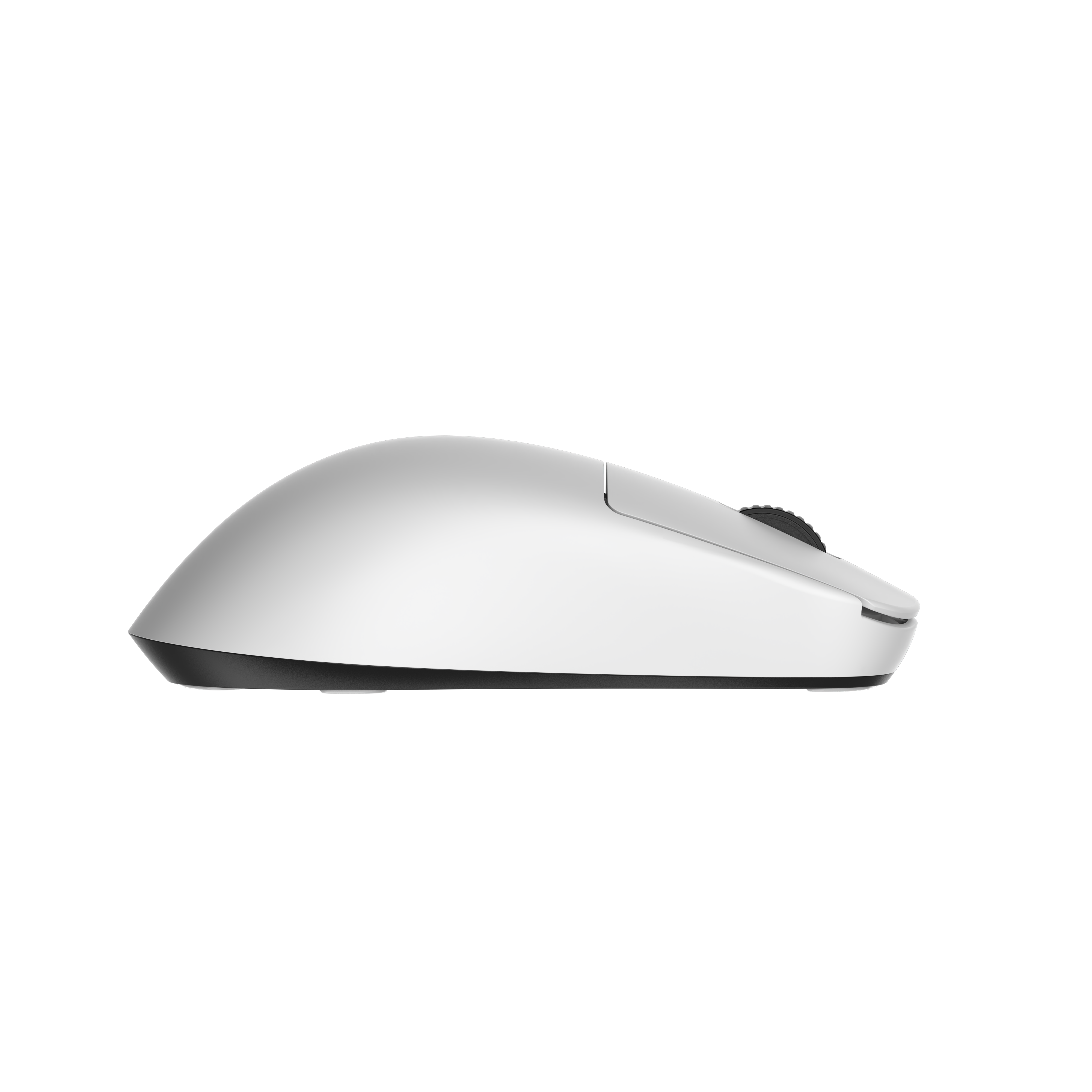 endgame-gear - OP1we Gaming Mouse - White
