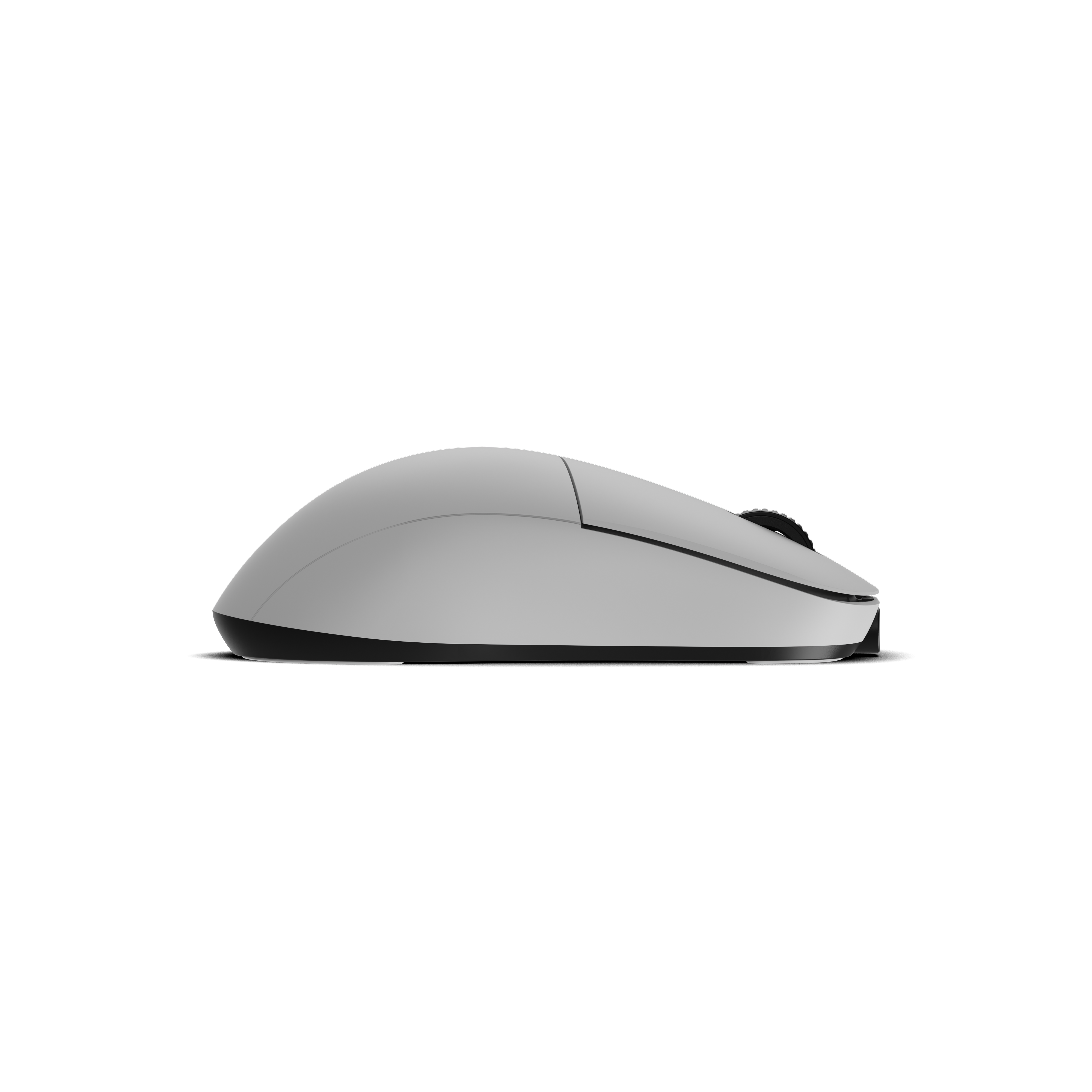 endgame-gear - XM2w 4k Gaming Mouse - White