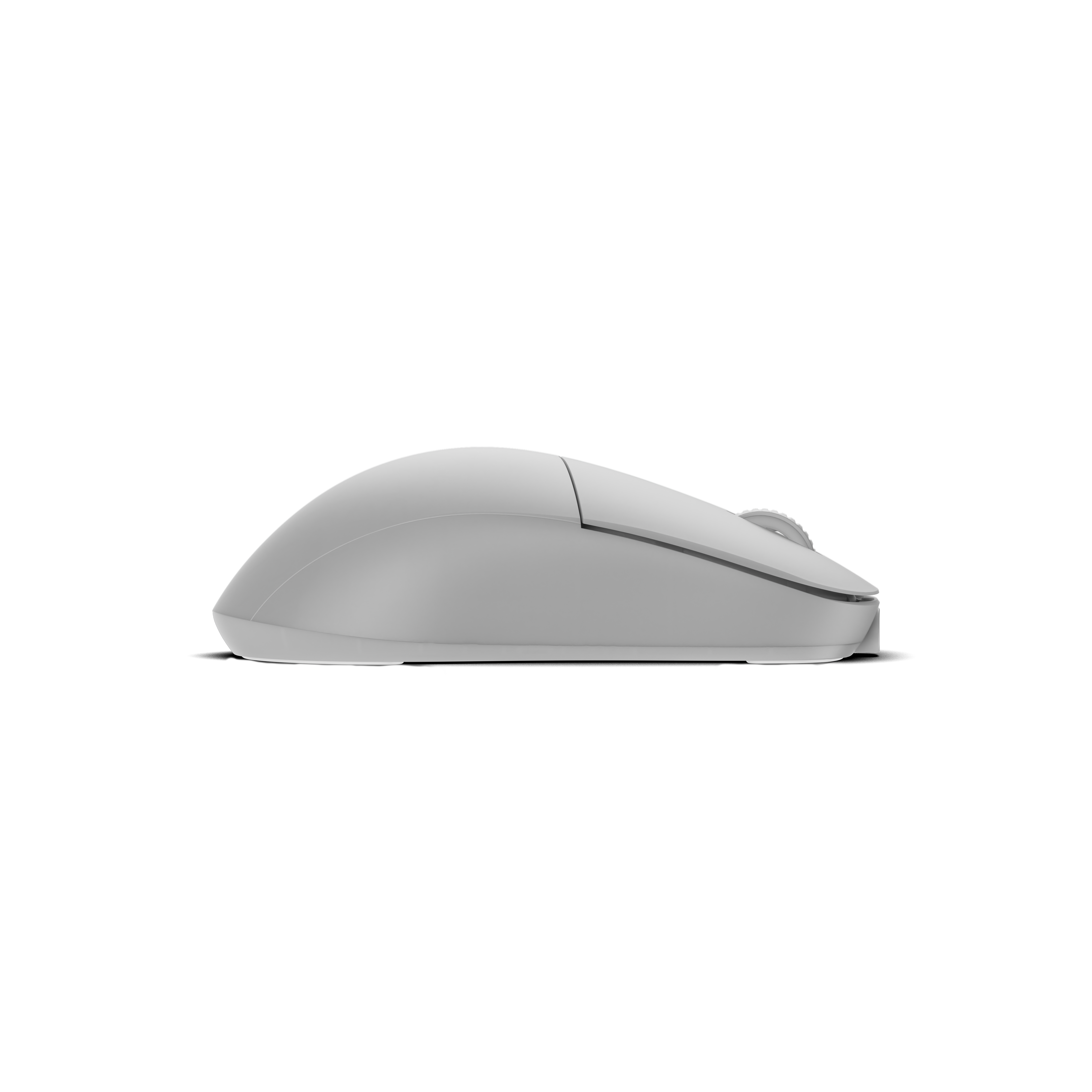 endgame-gear - XM2w 4k Gaming Mouse - White Frost