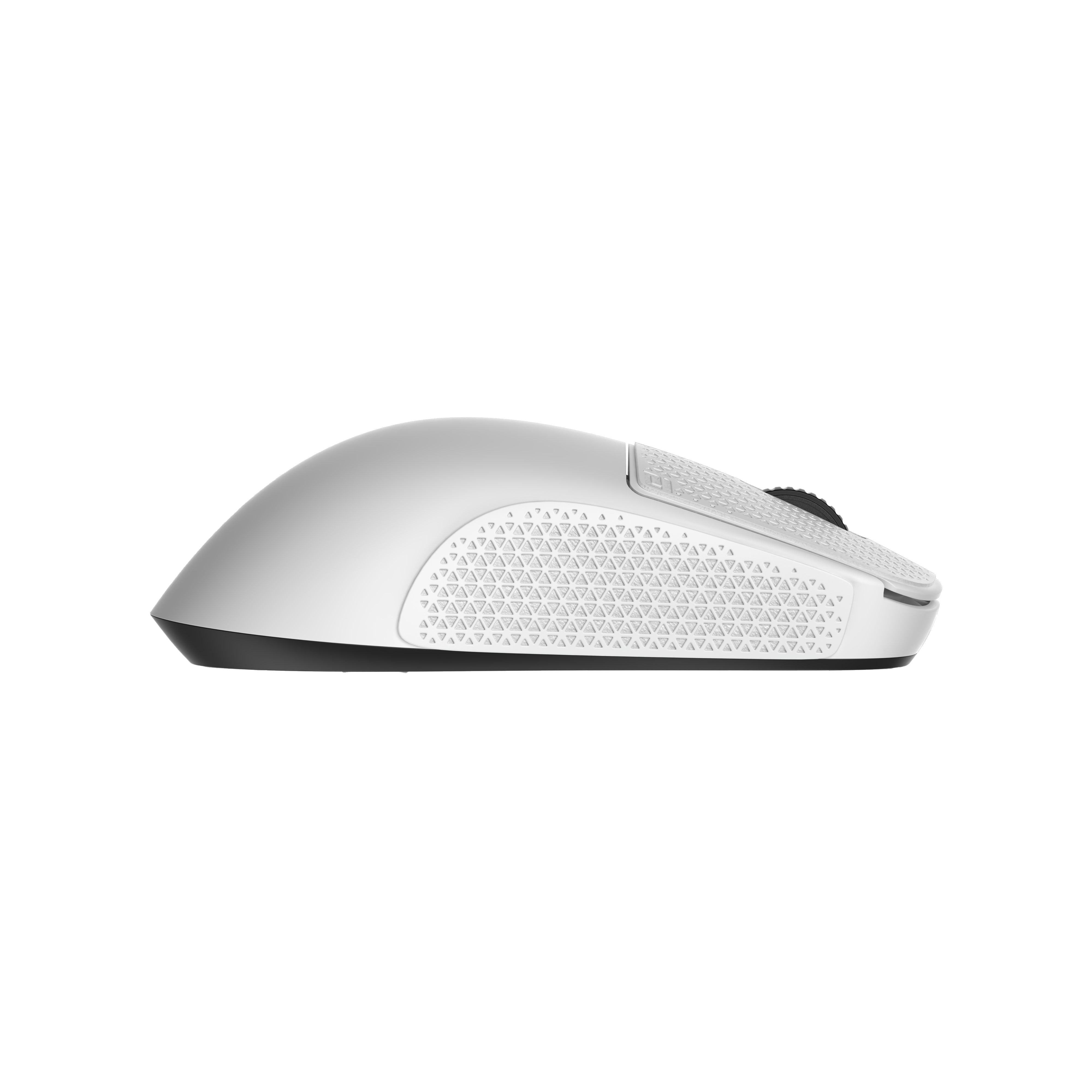  - OP1 Skin Set - White