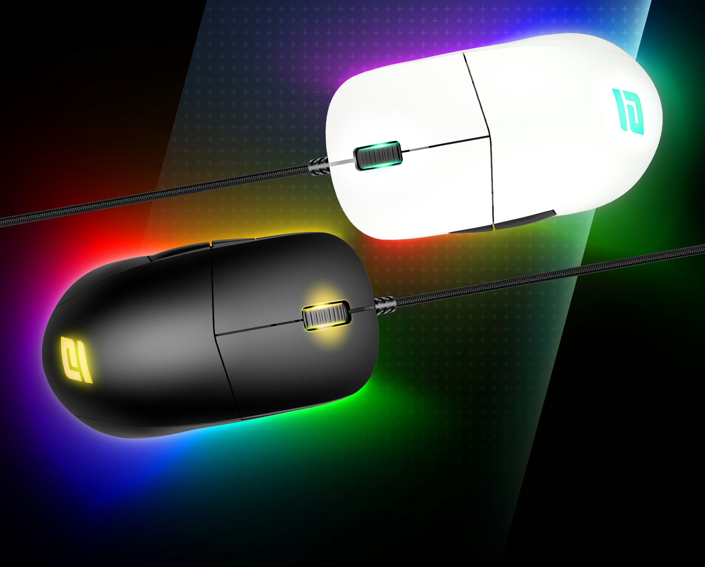 Endgame Gear Xm1 Rgb The Game Changer
