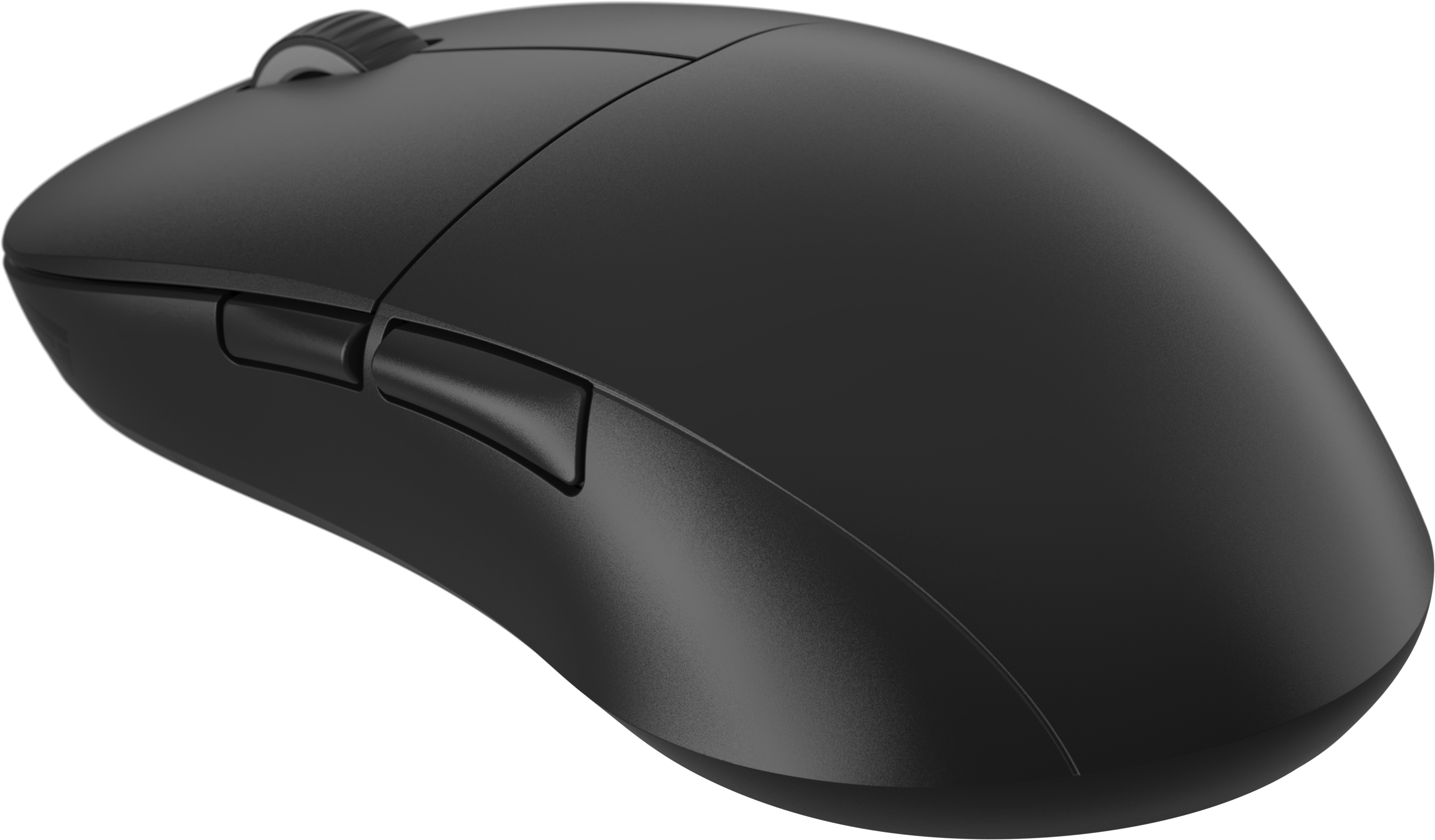 Endgame Gear XM2we mouse | Endgame Gear