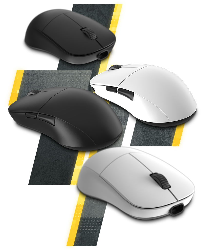 Endgame Gear XM2we mouse | Endgame Gear